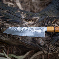 Kitchen Knives - Aurora Damascus Steel VG-10 Kiritsuke Chef Knife 200mm - HEPHAIS